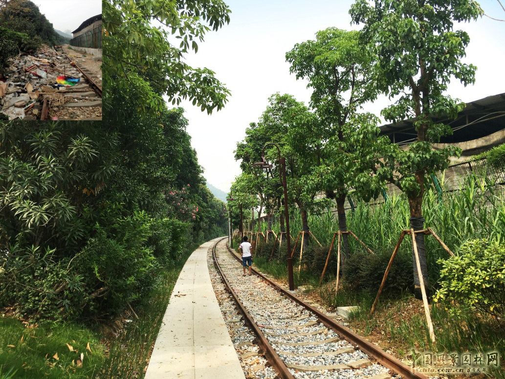 2016園冶杯: 廈門自貿(mào)區(qū)鐵路公園綠化工程