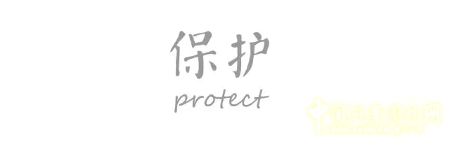 景觀學(xué)術(shù)：5分鐘讓你了解棕地