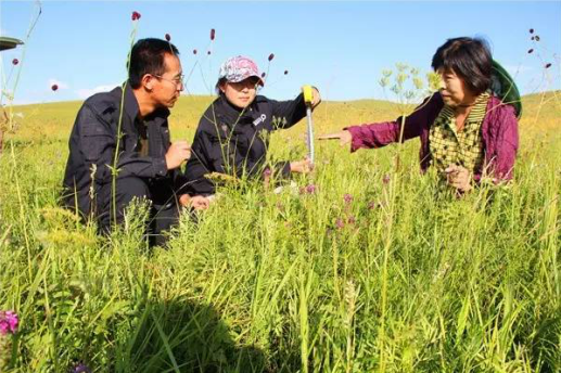 大數據時代 蒙草靠自身力量實現精準修復生態