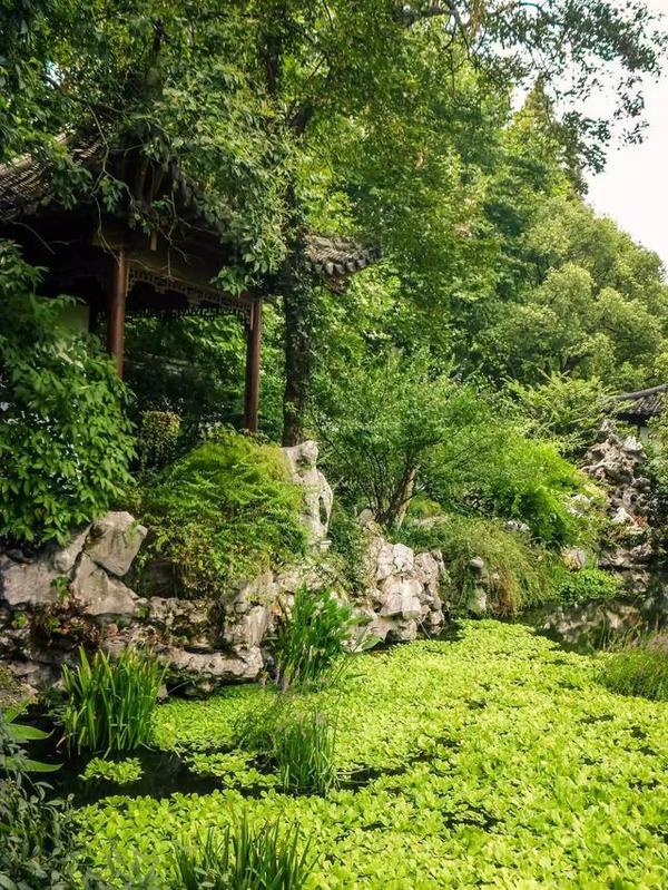 西湖邊上靈動的中國古典園林