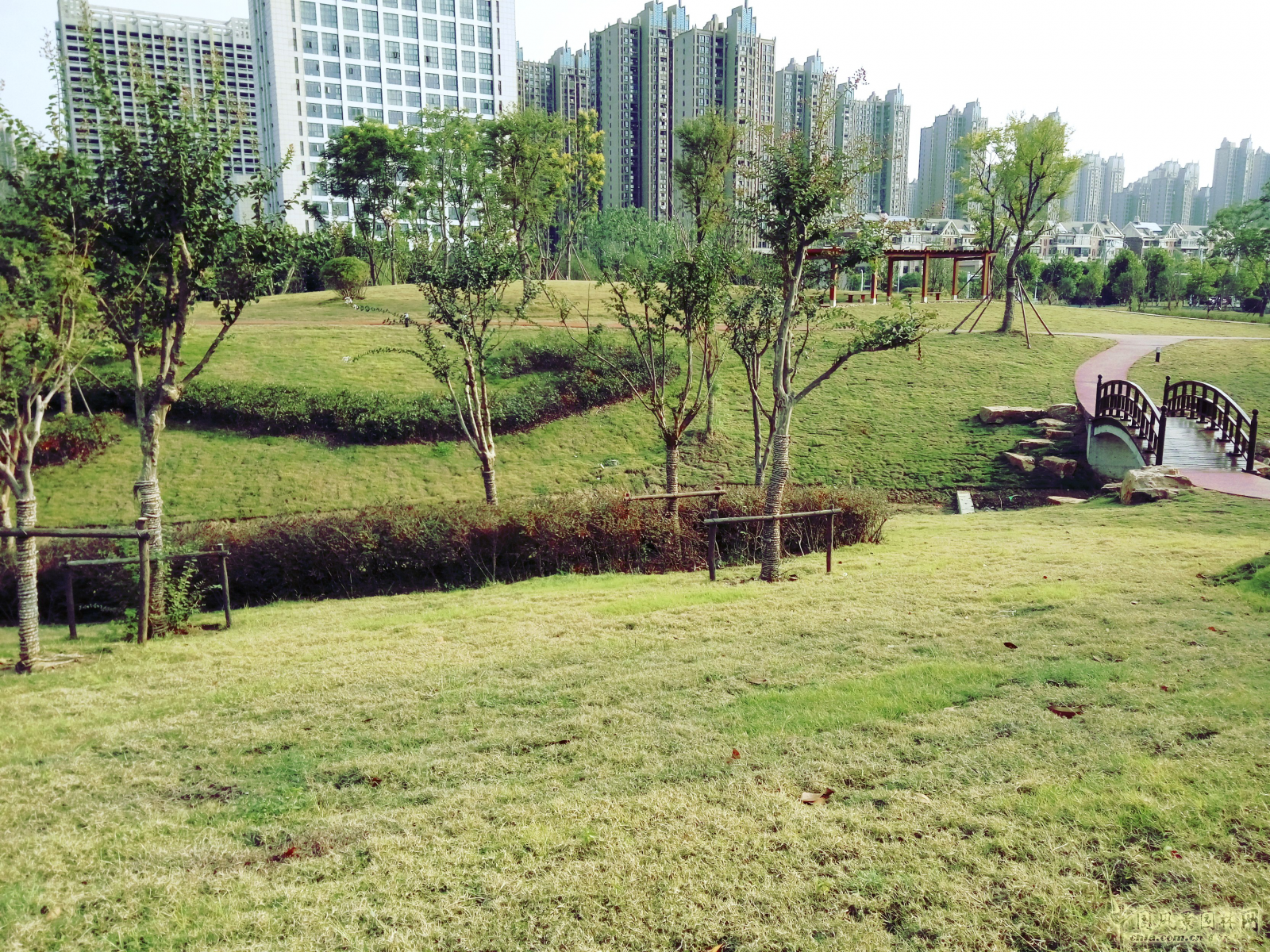 2016園冶杯:塘西河公園景觀（廣西路以西）綠化提升工程