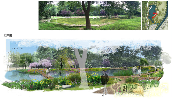 2016園冶杯：青山公園海綿化改造設計