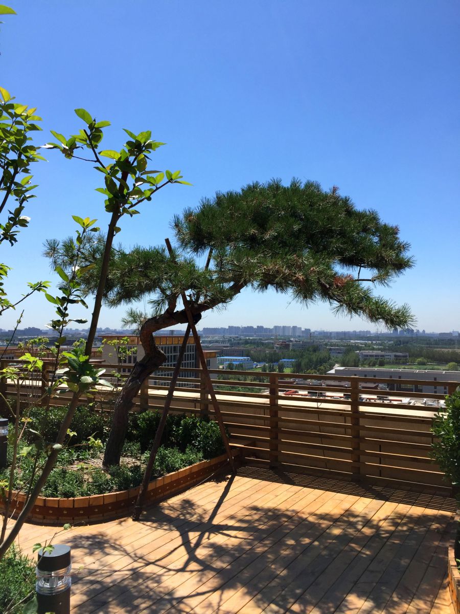 2016園冶杯專業獎參賽項目：北京大學國際醫院景觀工程設計