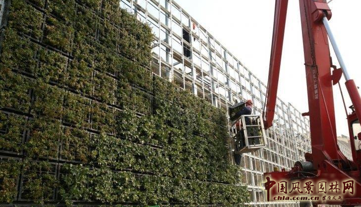 廈門崇圣生態：生態綠墻在項目中的應用