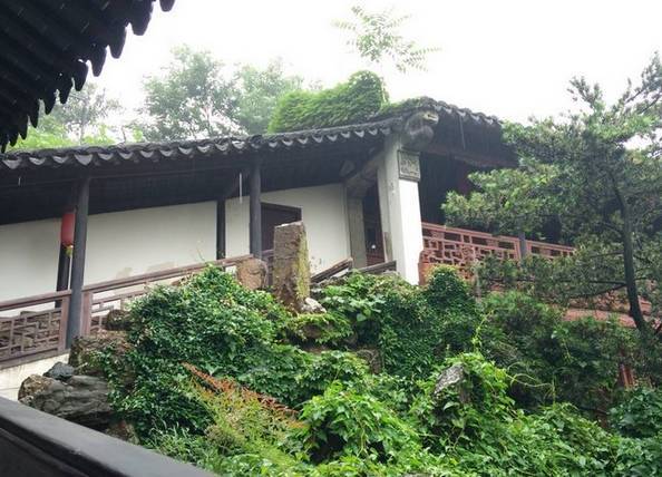 中國古典園林鑒賞：江蘇一些小而精的園林