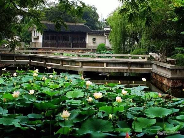 中國古典園林鑒賞：江蘇一些小而精的園林