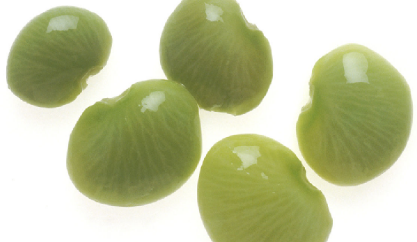 植物抗蟲(chóng)性：打造最完美的“防御措施”