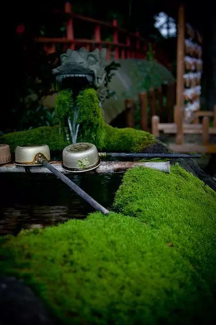 園林鑒賞：日本庭院中的美學(xué)禪意