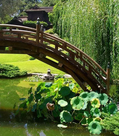 園林鑒賞：日本庭院中的美學禪意