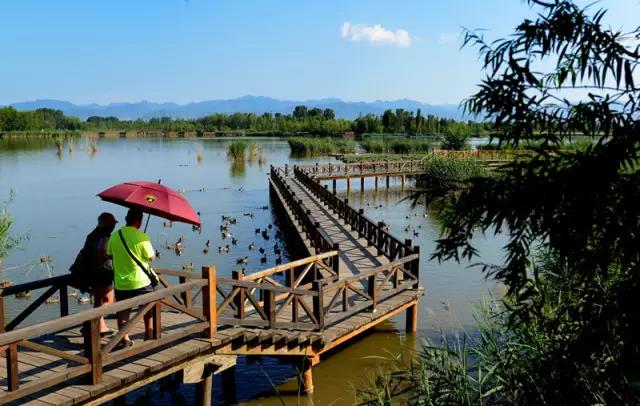 中國(guó)十佳生態(tài)景觀案例