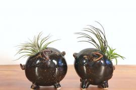動物花器：讓插花充滿童趣
