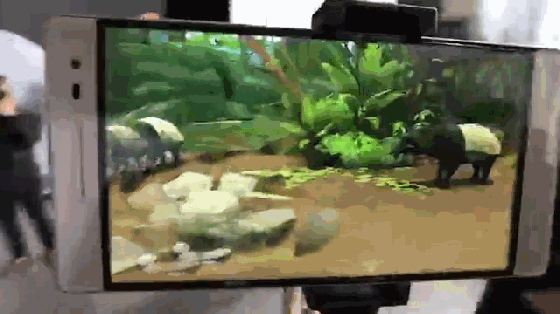 AR和VR技術在野生動植物的保護中的應用