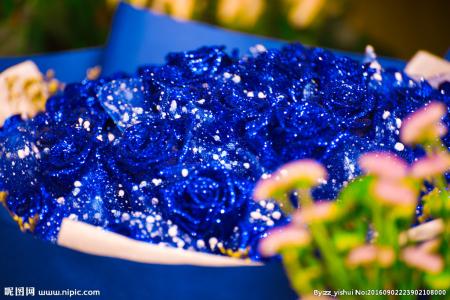 適合情人節(jié)送的花及送花寓意盤點(diǎn)
