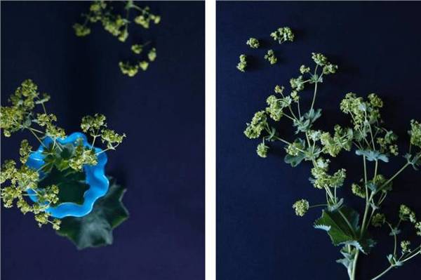 裝扮您美麗的家 這些插花技巧不容錯過