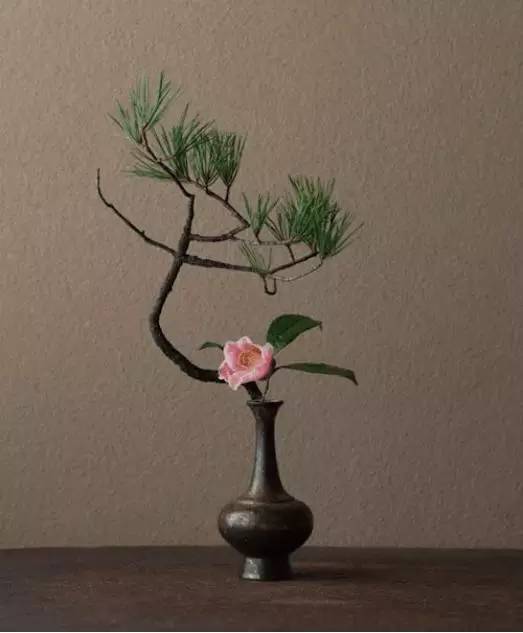 裝扮您美麗的家 這些插花技巧不容錯過