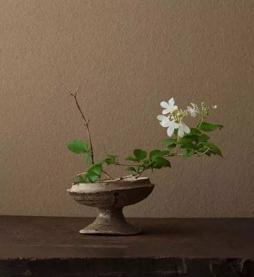 裝扮您美麗的家 這些插花技巧不容錯過