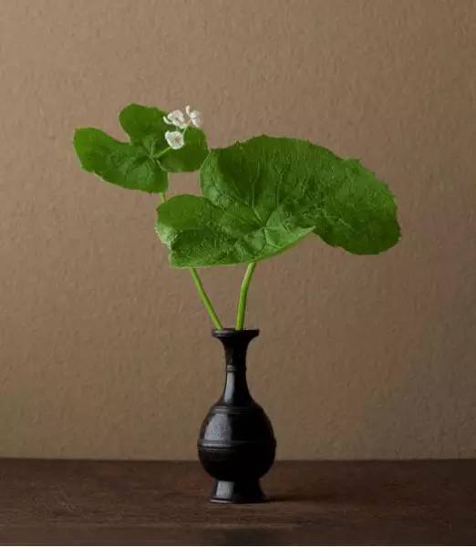 裝扮您美麗的家 這些插花技巧不容錯過