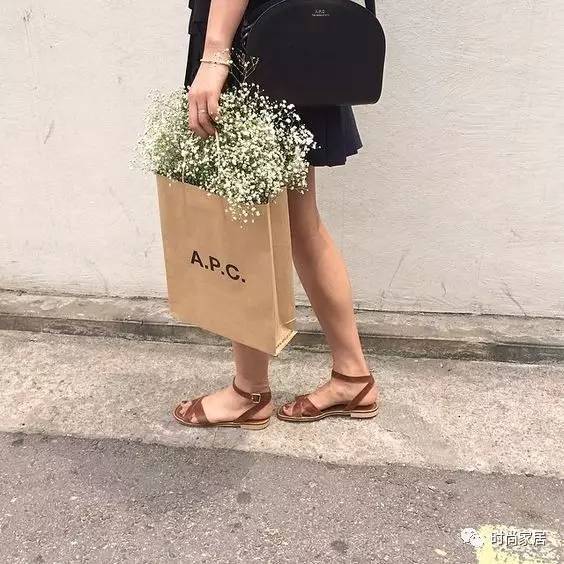 當(dāng)植物碰到紙袋呈現(xiàn)想不到的效果