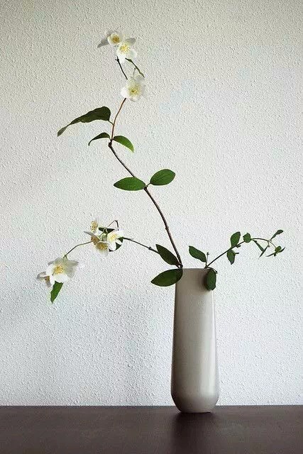 藝術，插花里也充滿著禪意