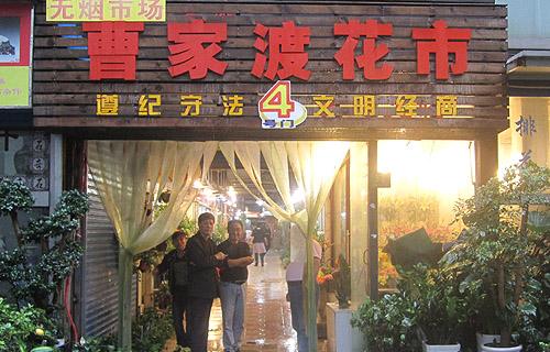 花木行情：上海花市“小而精”特點(diǎn)鮮明