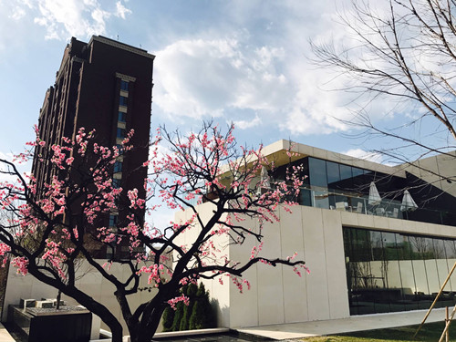 4月10日北京精品園林考察，火熱招募中！