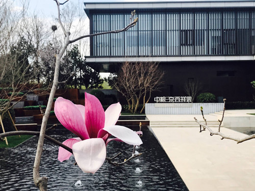 與大師同行 北京精品園林考察活動(dòng)圓滿結(jié)束