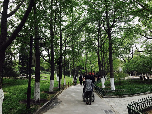 與大師同行 北京精品園林考察活動(dòng)圓滿結(jié)束