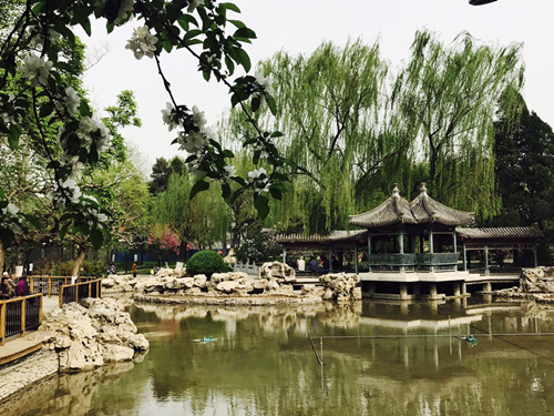與大師同行 北京精品園林考察活動(dòng)圓滿結(jié)束