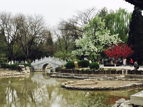 與大師同行 北京精品園林考察活動(dòng)圓滿結(jié)束