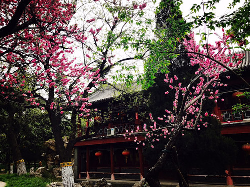 與大師同行 北京精品園林考察活動(dòng)圓滿結(jié)束