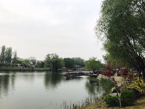 與大師同行 北京精品園林考察活動(dòng)圓滿結(jié)束