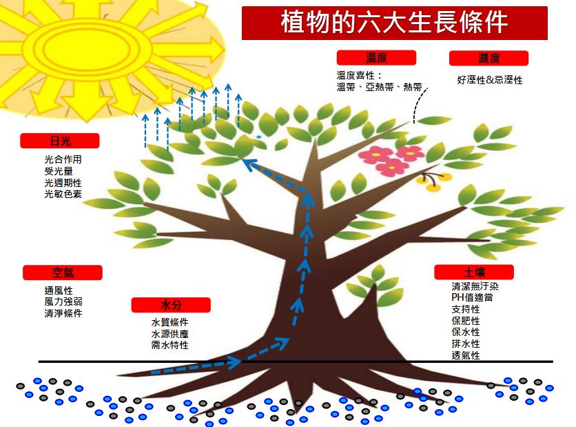 地產(chǎn)園林國際論壇李碧峰演講實錄