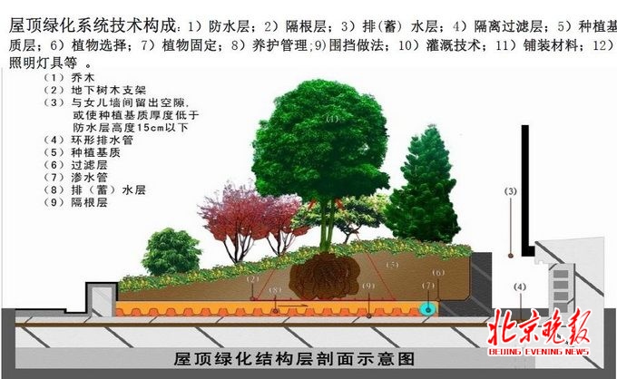 屋頂花園設計案例：天通苑一屋頂花園