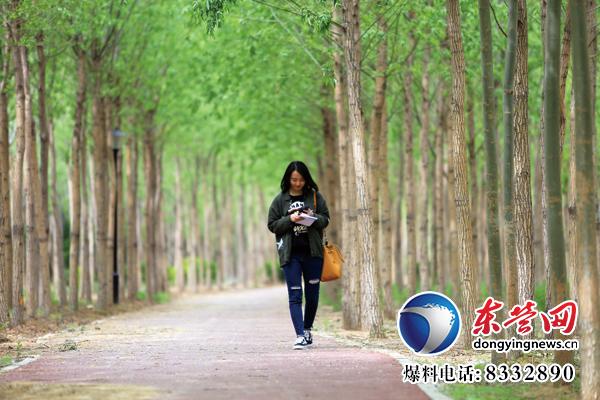 東營生態(tài)園林與城市公園建設(shè)掠影