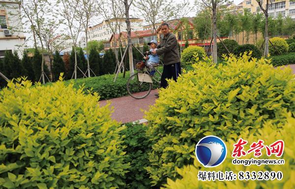 東營生態(tài)園林與城市公園建設(shè)掠影