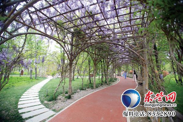 東營生態(tài)園林與城市公園建設(shè)掠影