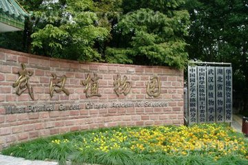 武漢植物園生物多樣性監(jiān)測(cè)網(wǎng)絡(luò)基地揭牌