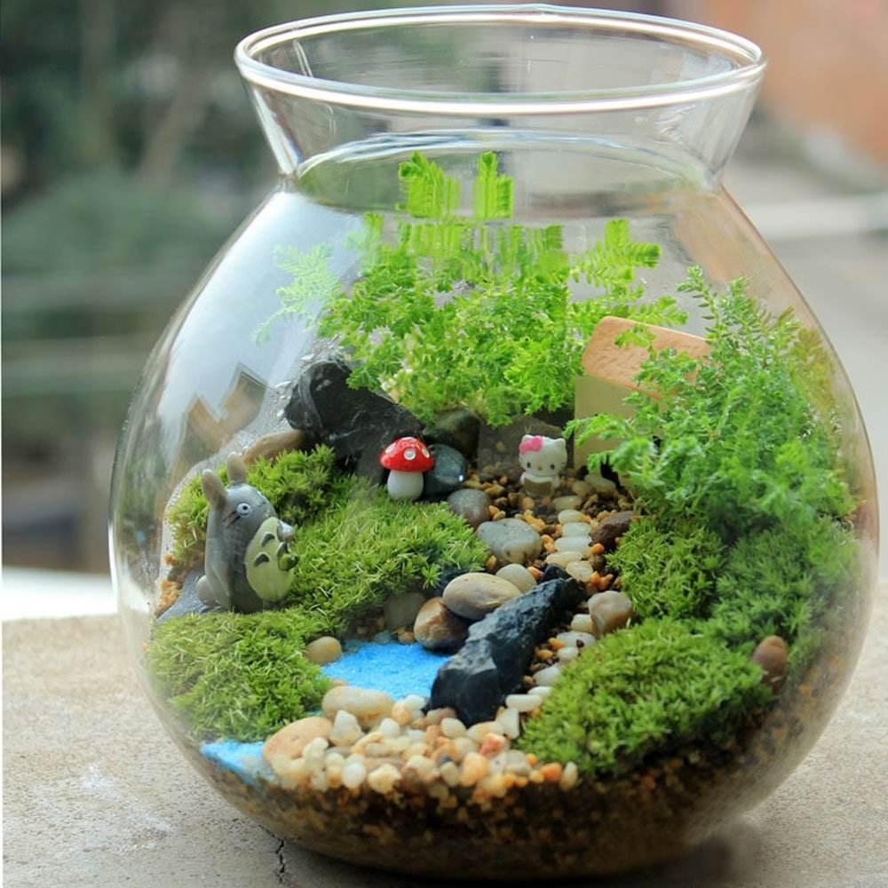 自己動手制作玻璃植物景觀