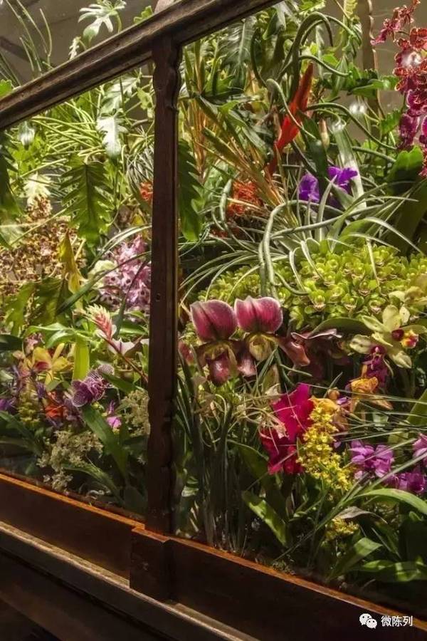 櫥窗布置：植物世界可以多極致？