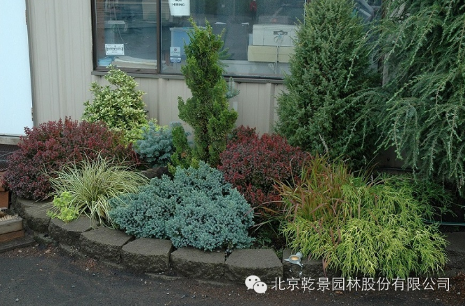 乾景園林【花境系列一】低維護花境