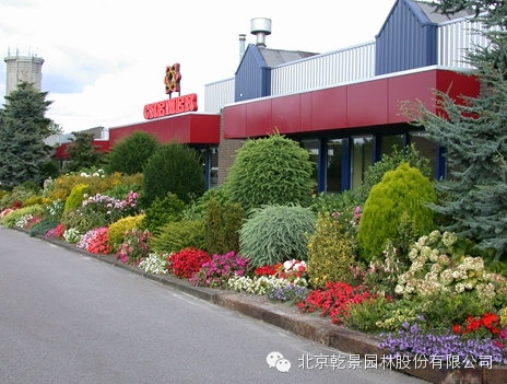乾景園林【花境系列一】低維護花境