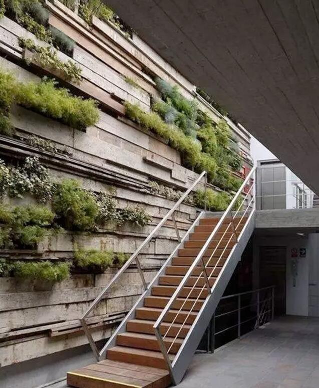 植物墻激活黯然的建筑