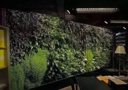 垂直花園設(shè)計(jì)為生活帶來(lái)滿滿綠意
