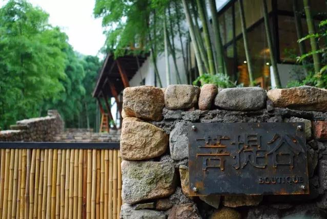 葉一劍：景區化不應是特色小鎮的發展方向