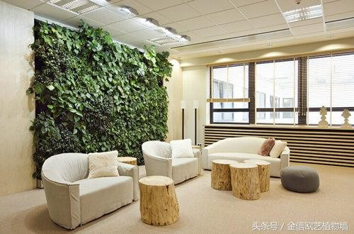 立體綠化植物墻為何這么受歡迎？