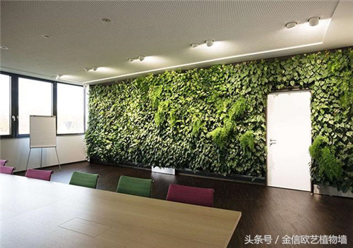 立體綠化植物墻為何這么受歡迎？