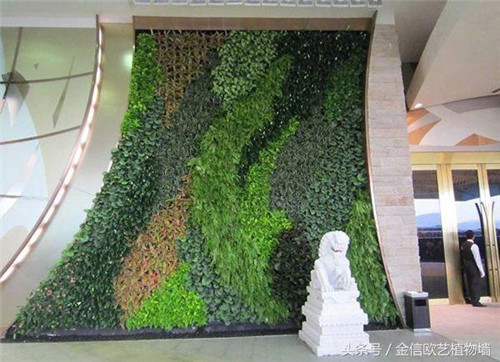 立體綠化植物墻為何這么受歡迎？