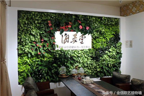 立體綠化植物墻為何這么受歡迎？