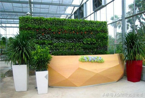 立體綠化植物墻為何這么受歡迎？