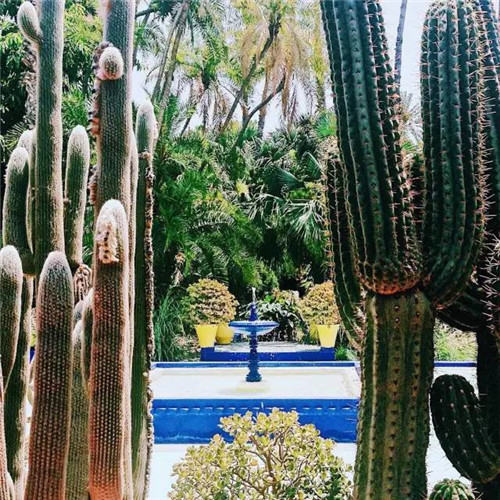 世界上這些驚為天人的植物園你都知道嗎？